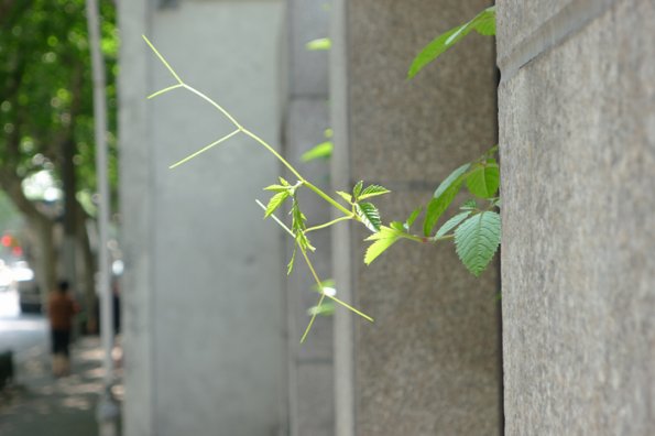 P1000043