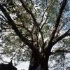 120714RDP0020