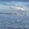 SONY DSC