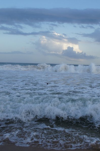 SONY DSC