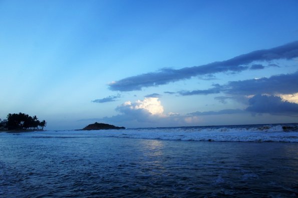 SONY DSC