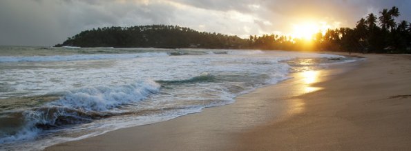 SONY DSC