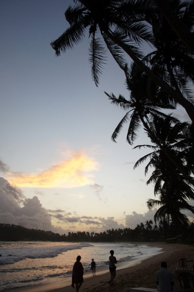 SONY DSC