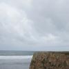 SONY DSC