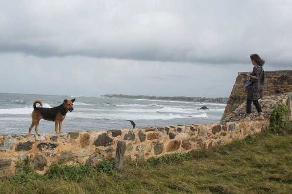 SONY DSC