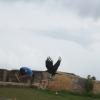 SONY DSC