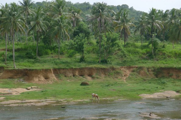 P1000338