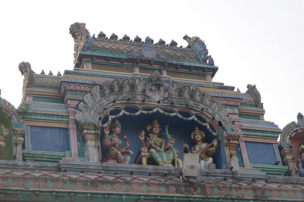 P1000601