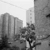 120604XP20001