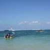 SONY DSC