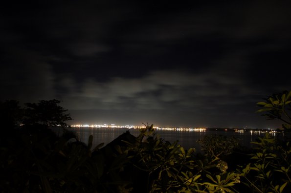 SONY DSC