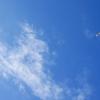 SONY DSC