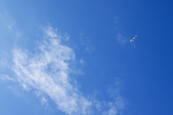 SONY DSC