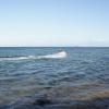 SONY DSC