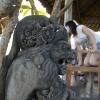 SONY DSC