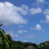 IMG_20120724_100735