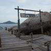 SONY DSC