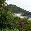 SONY DSC
