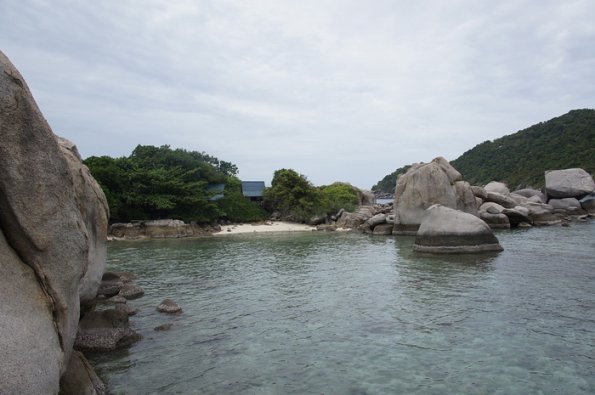 SONY DSC