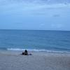 SONY DSC