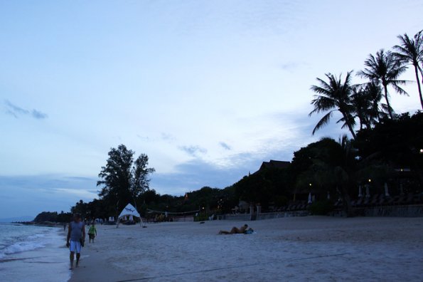 SONY DSC