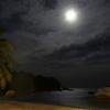 SONY DSC