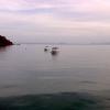 IMG_20120702_074603