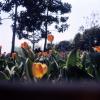 120712RDP003