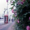 120712RDP009