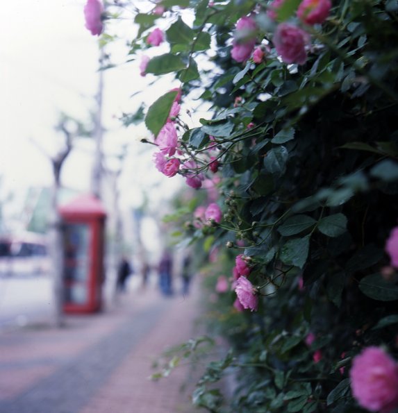 120712RDP009