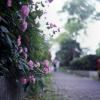 120712RDP012