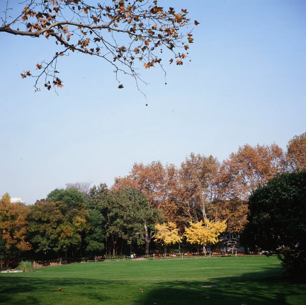 121212EPP001