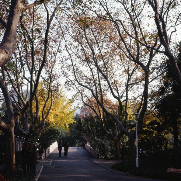 121212EPP004