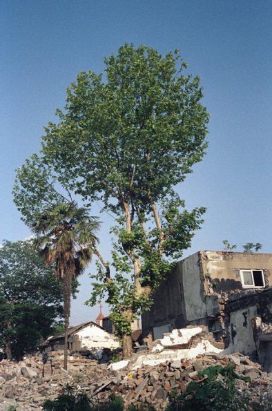 121213LC20006