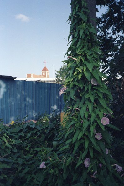 121213LC20025