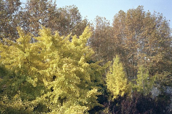 121214LC20010