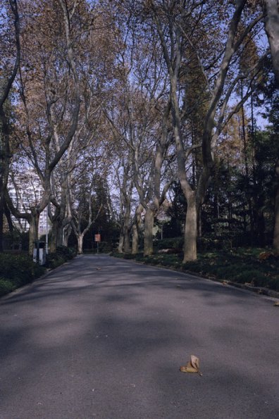 121214LC20015