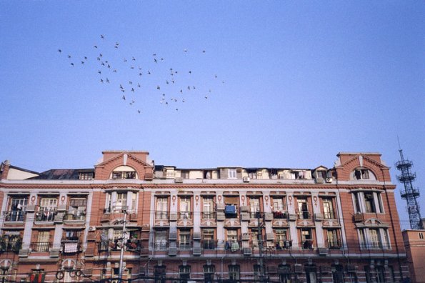 121214LC20020