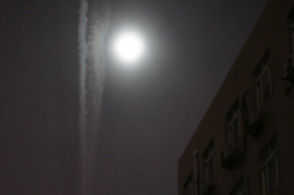SONY DSC