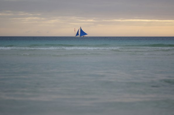 SONY DSC