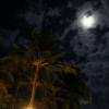 SONY DSC