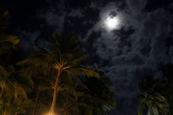 SONY DSC