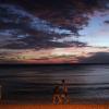SONY DSC