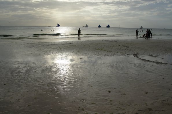 SONY DSC