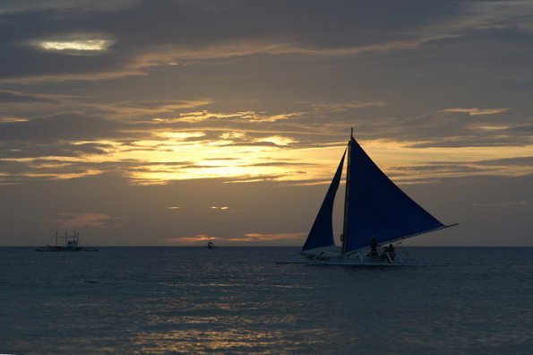 SONY DSC