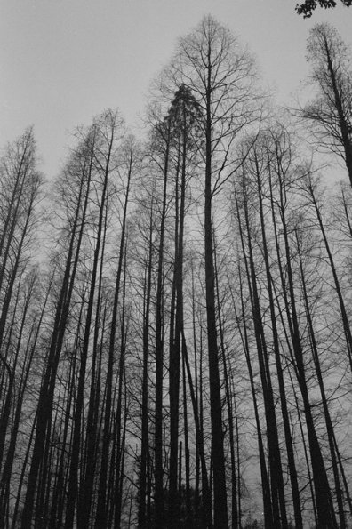 130322LC20007