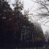 130322LC20008