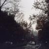 130322LC20009