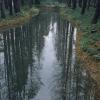 130322LC20032