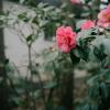 130422KP6104